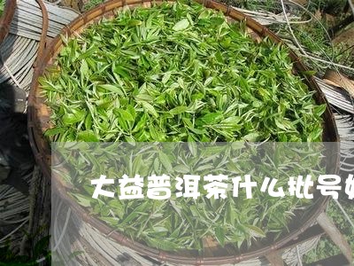 大益普洱茶什么批号好/2023062440927