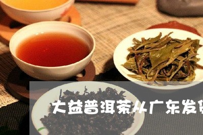 大益普洱茶从广东发货/2023072405958