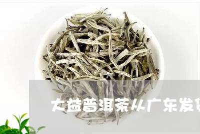 大益普洱茶从广东发货/2023092993927