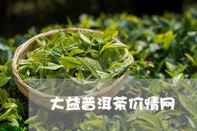 大益普洱茶价情网/2023101681503