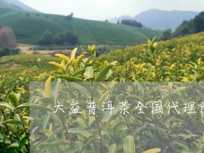 大益普洱茶全国代理商/2023092595820