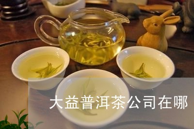 大益普洱茶公司在哪/2023120526260