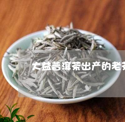 大益普洱茶出产的老茶头/2023122054826