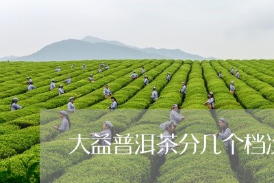 大益普洱茶分几个档次/2023062251826