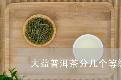 大益普洱茶分几个等级/2023062102837