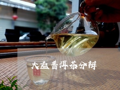 大益普洱茶分辨/2023120363725