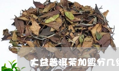 大益普洱茶加盟分几级/2023061398472