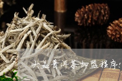 大益普洱茶加盟程序!/2023092553047