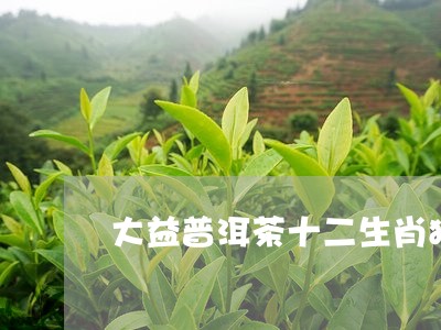 大益普洱茶十二生肖猪/2023072212036