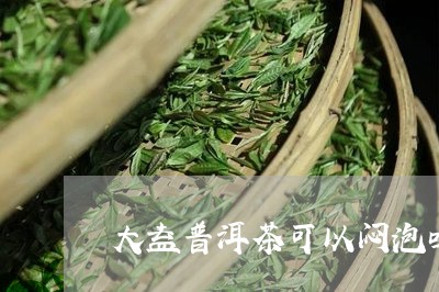 大益普洱茶可以闷泡吗/2023101799602