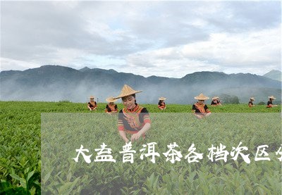 大益普洱茶各档次区分/2023062303637