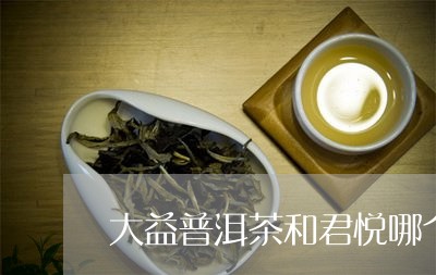 大益普洱茶和君悦哪个好喝/2023112440584