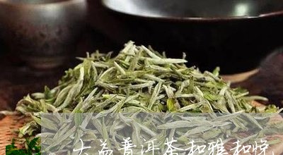 大益普洱茶和雅和悦/2023082919472