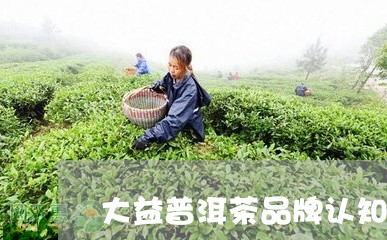 大益普洱茶品牌认知度/2023092728281