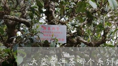 大益普洱茶哪个系列好普知味/2023052991695