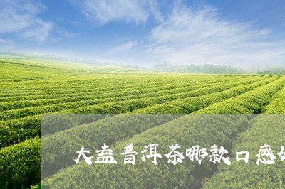 大益普洱茶哪款口感好/2023092650615