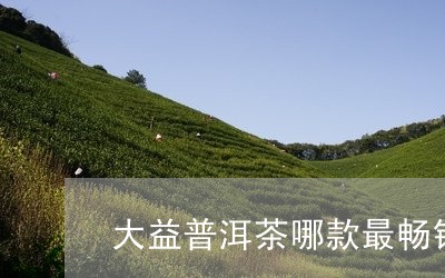 大益普洱茶哪款最畅销的/2023102427562