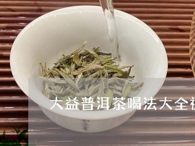 大益普洱茶喝法大全视频/2023103168593