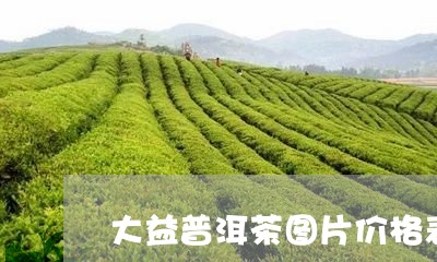 大益普洱茶图片价格表/2023092632936