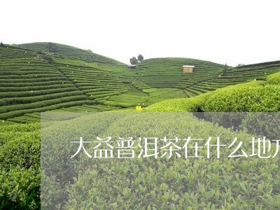 大益普洱茶在什么地方/2023062046147