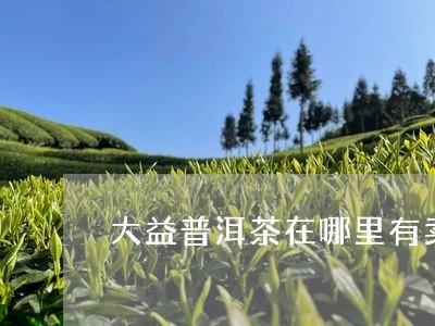 大益普洱茶在哪里有卖/2023120688403