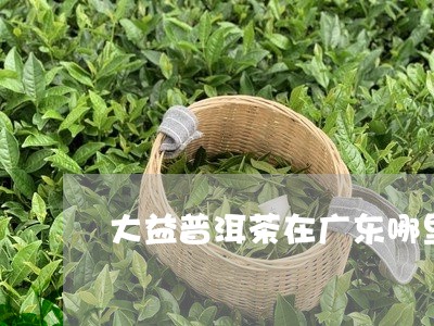 大益普洱茶在广东哪里生产/2023121510393