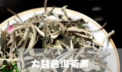 大益普洱茶声/2023042550242