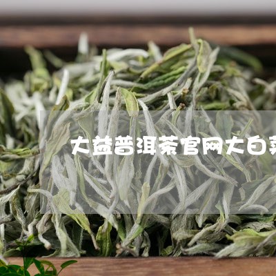 大益普洱茶官网大白菜/2023092638695