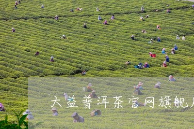 大益普洱茶官网旗舰店容城/2023051073814