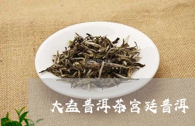 大益普洱茶宫廷普洱/2023070969482