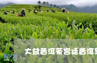 大益普洱茶宫廷普洱熟茶/2023121528470