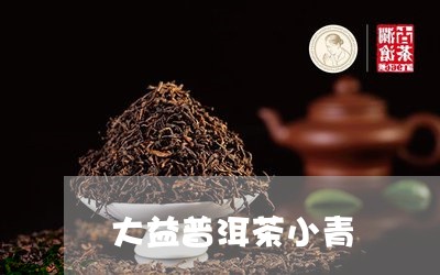 大益普洱茶小青/2023082904957