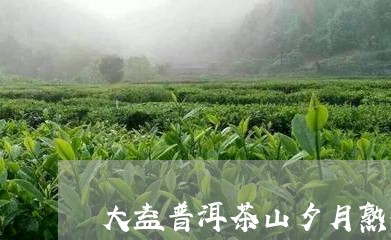 大益普洱茶山夕月熟茶/2023092734737