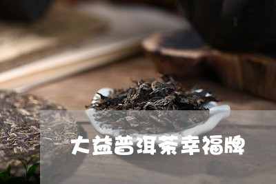 大益普洱茶幸福牌/2023120478272