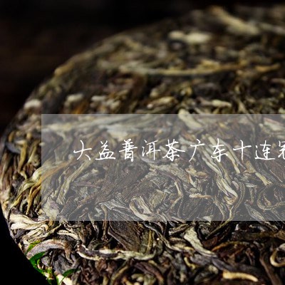 大益普洱茶广东十连冠/2023092617058