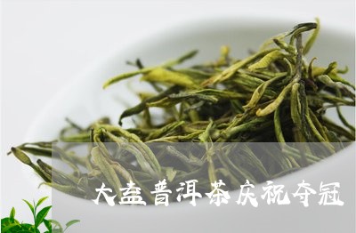 大益普洱茶庆祝夺冠/2023101635059