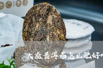 大益普洱茶怎么配好喝/2023121563694