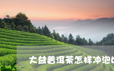 大益普洱茶怎样冲泡比较好/2023082948382