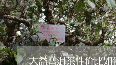 大益普洱茶性价比如何/2023061834738