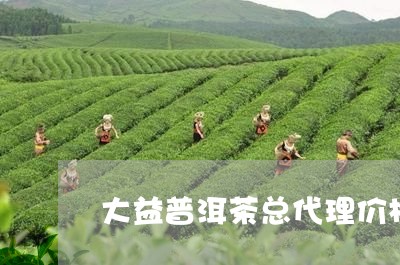 大益普洱茶总代理价格/2023061389581