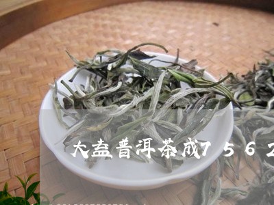 大益普洱茶成7562/2023100569362