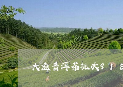 大益普洱茶批次918/2023080365138