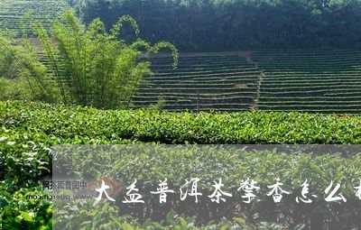 大益普洱茶擎香怎么样/2023092673816