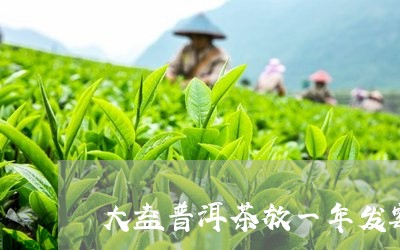 大益普洱茶放一年发霉/2023061402825