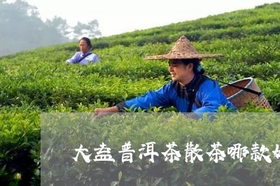 大益普洱茶散茶哪款好一点/2023121554936