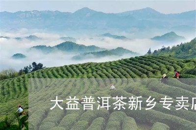 大益普洱茶新乡专卖店/2023092761685