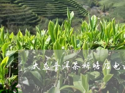 大益普洱茶新塘店电话地址/2023082870691