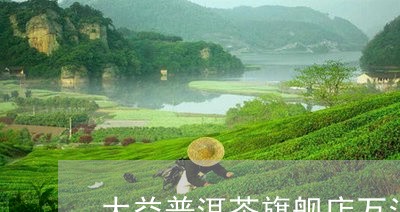 大益普洱茶旗舰店万江/2023092638351