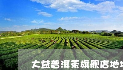 大益普洱茶旗舰店地址/2023062862807