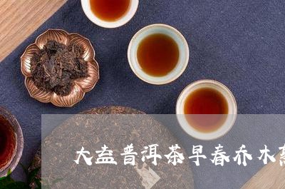 大益普洱茶早春乔木熟/2023062403816